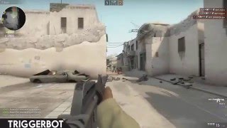 CSGO External hack | ESP | RCS | Triggerbot Updated 31/01/16