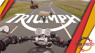 Triumph Speed Twin: A (terrible) review, you will learn nothing here