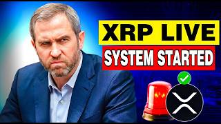 XRP NEWS TODAY: XRP Goes Live — What Happens Next Changes Everything