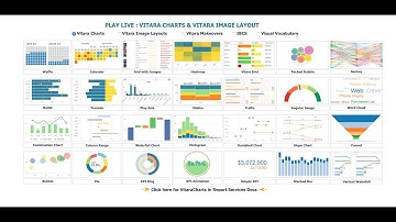 [Webinar] Vitaracharts - 30+ New Charts for Microstrategy