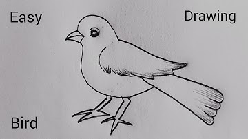 Bird Drawing // Bird drawing easy step by step // How to draw a bird drawing easy