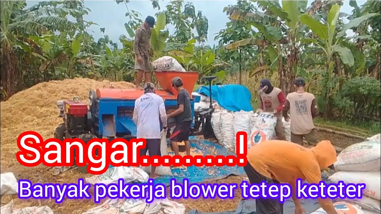 Masih keteter blower jagung #viralvideo #fypシ゚viral #blowerjagung 