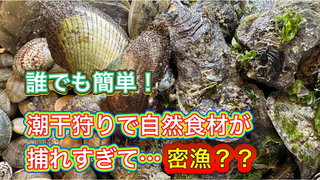 【沖縄潮干狩り】泡瀬干潟！家族連れでも安心の場所でまさかの密漁？？