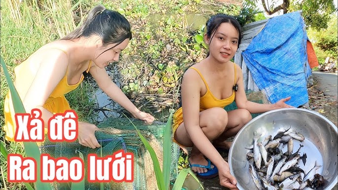 Cô Gái Quê Chèo Xuồng Buổi Chiều Ra Sông Bắt Cá | Fishing Cgq 534 - Youtube