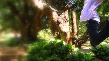 virtual 3D / Parallax Video