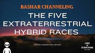 Bashar Channeling - Hybridization: Earth's Chance To Skip Thousands of Years of Evolution? by Higher Dimensional Wisdom 2,506 views 4 weeks ago 19 minutes