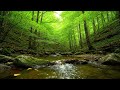 😩 STRESSED & Overwhelmed? Find Instant Peace | 3 HOUR Deep Focus Relaxing Music for Sleep & Anxiety