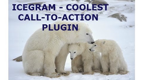 IceGram Review - The Coolest Plugin With Call-to-Action Options