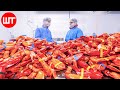How lobster are caught  processed  expensive lobster processing factory