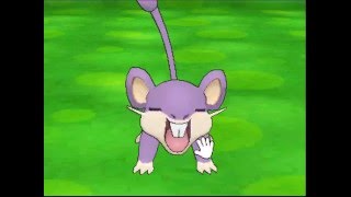 ポケパルレ　コラッタと戯れるだけの動画