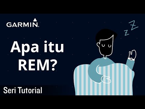 Video: Perbedaan Antara REM DAN NREM