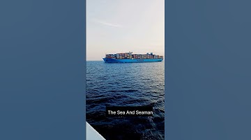 introducing me!!shipping instructions ........#viral #shipping #shorts #video