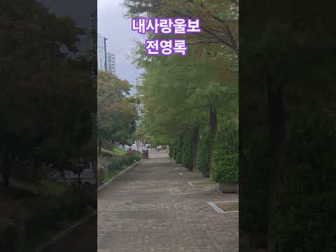 내사랑울보 전영록