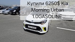 Аукцион Glovis Kia Morning Urban 1.0Gasolin 20год 34598км 6250$