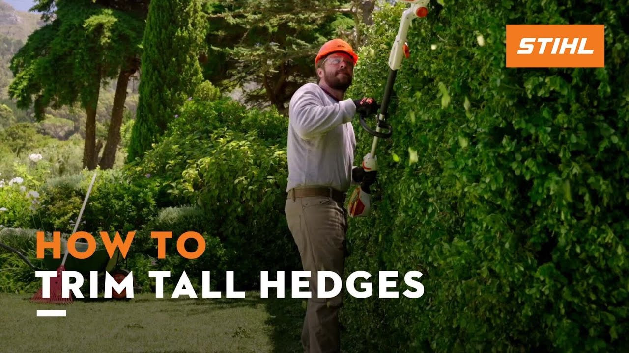 How to trim tall hedges | STIHL - YouTube