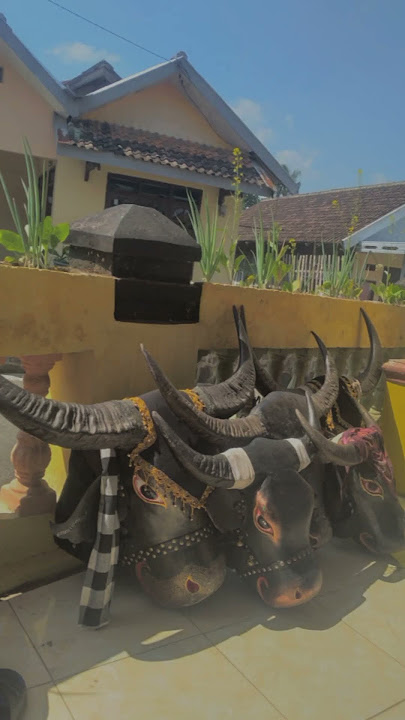Story wa Bantengan Nuswantara