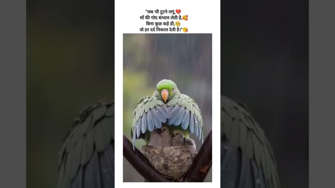 mother's love for her baby 😘❣️