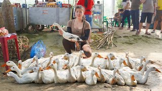 Harvesting Ducks Goes To Countryside Market Sell - Build new duck coop to raise ducklings