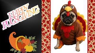 Download Lagu Happy Thanksgiving! We will update you on true crime and spend some time hanging out and chatting MP3
