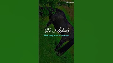 سورة بس#قران_كريم #اكسبلور #الرحمن #music #دويتو #المصحف #duet #viralvideo #المراه #راحة_نفسية #اعتن