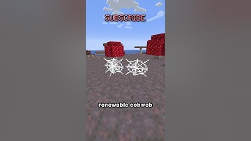 NEW POTIONS IN MINECRAFT