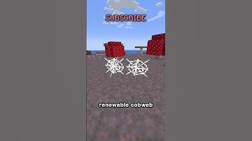 NEW POTIONS IN MINECRAFT