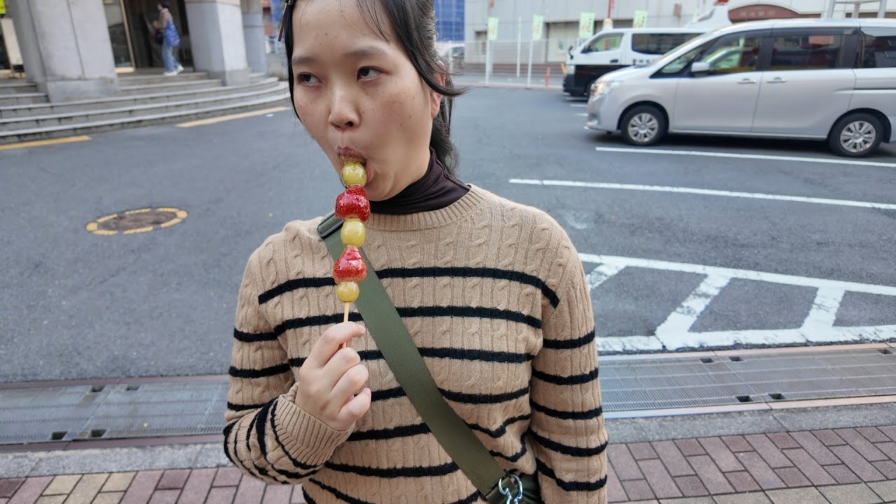 横浜中華街からみなとみらいまで散歩する、げじはむVlog