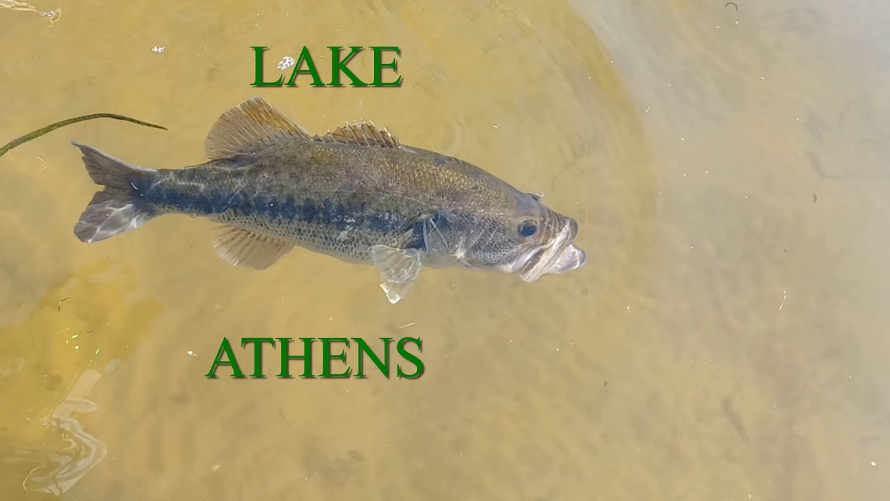 Fishing for Big Bass on Lake Athens