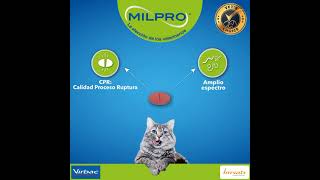 Miles De Veterinarios Se Han Cambiado A Y Tú Qué Esperas?