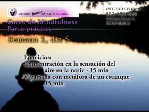 Curso Mindfulness práctica - Semana 1 día 5