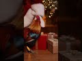 Christmas Gifts to the Pets – Adorable Moments