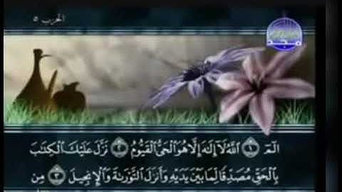 ما تيسر من سورة آل عمران أبو صهيب