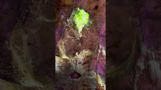 Liburan Ke Goa Viral- Goa Terawang Todanan