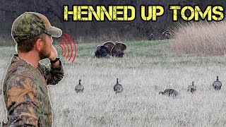 Opening Day Of TURKEY Season!! TOMS Everywhere