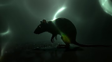 Caustics made with Noise node