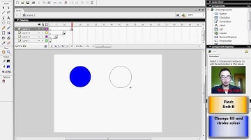 Flash Unit B   6  Change fill and stroke colors