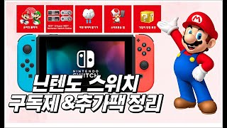 Nintendo Switch Online Subscription Add-on Pack Summary Video!!!