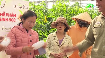 Lâm Đồng tăng cường phát triển nông nghiệp xanh