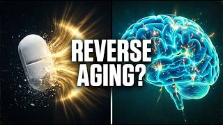 Metformin &amp; Your Brain: An Anti-Aging Miracle?