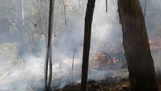 Wildfire / Bushfire Hazard Reduction Burning - Low Intensity