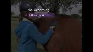 12 Grooming