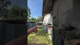 Murder of Woman in Lingga, Victim's Husband Left Town the Day Before She Was Found Buried