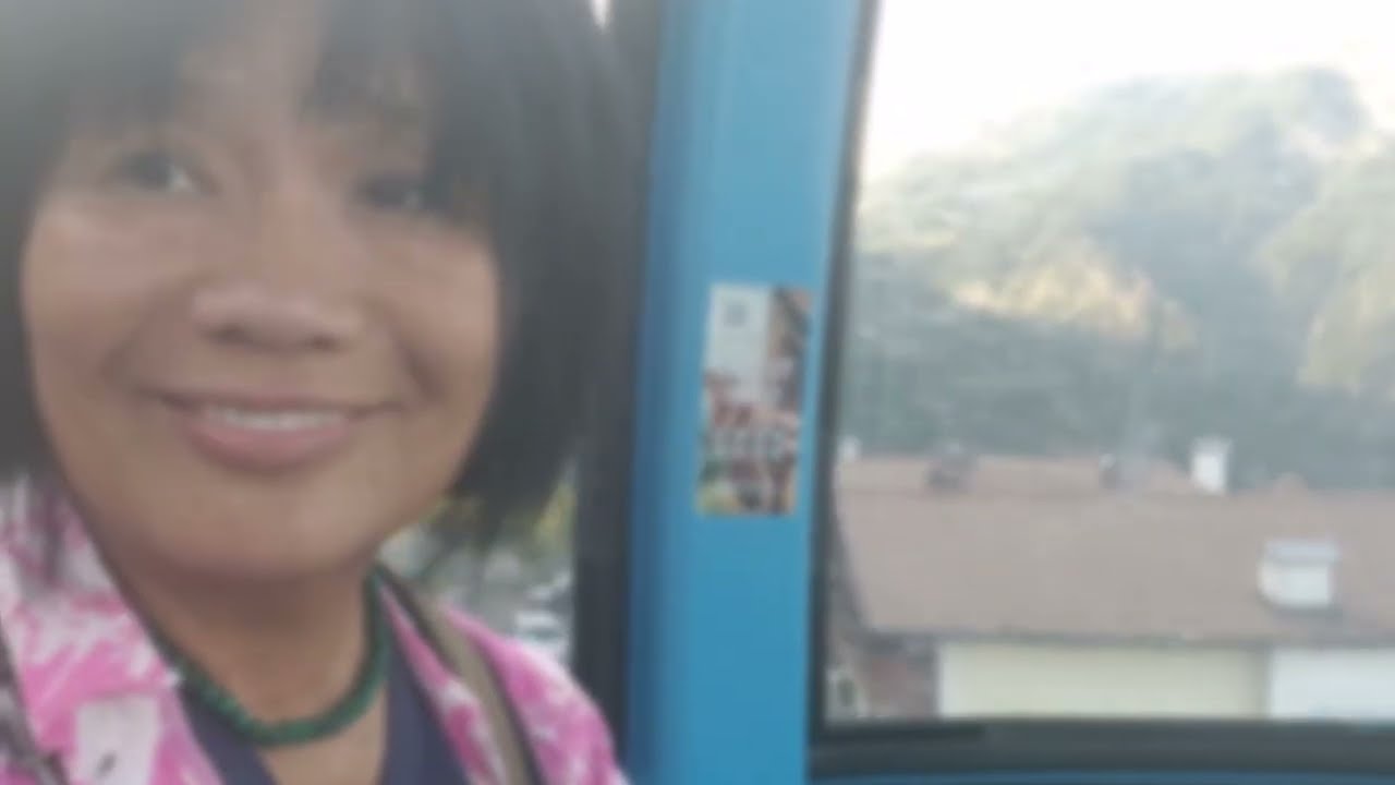 Honest Review South Tyrol Public Transportation 👌✔👍 How to Explore South Tyrol Without a Car