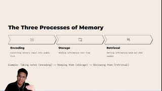 Psych 101 Chapter 6.1: Memory Overview
