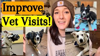 Help Improve Your Vet Visits!