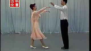 交谊舞教学一学就会（2）慢四步（布鲁兹） 标清360P