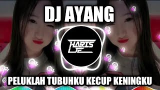 DJ PELUKLAH TUBUHKU KECUP KENINGMU || DJ TIKTOK VIRAL TERBARU 2023 AYANG