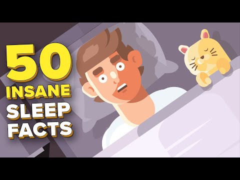 ผลสลากกินแบ่งรัฐบาล วันที่ 1 พย. 2567