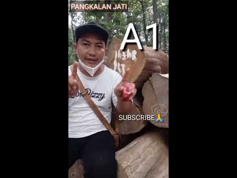 Video: Apa itu kayu?