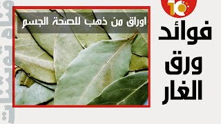 فوائد ورق الغار علاج فعال و نتائجه غريبة عجيبة على الصحة | ورق الغار وفوائده  #فوائد#اوراق_الغار